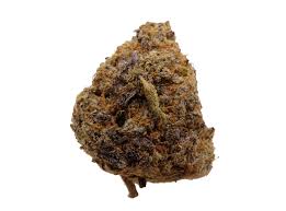 LATO POP (LATO-POP*) (INDICA HYBRID)